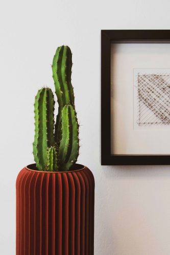 3D-Druck Vase mit Kaktus