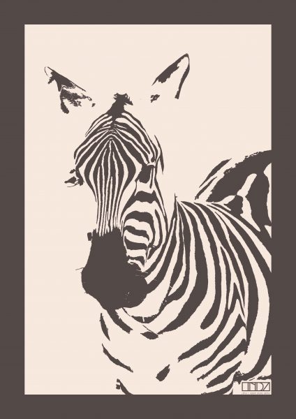 Zebra Poster design-vie.at