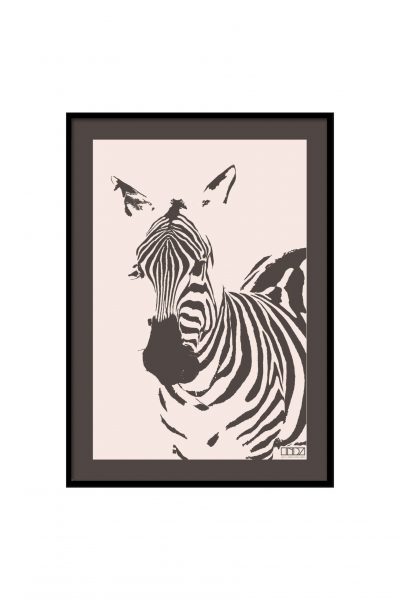 Zebra aus Afrika Poster in Rahmen